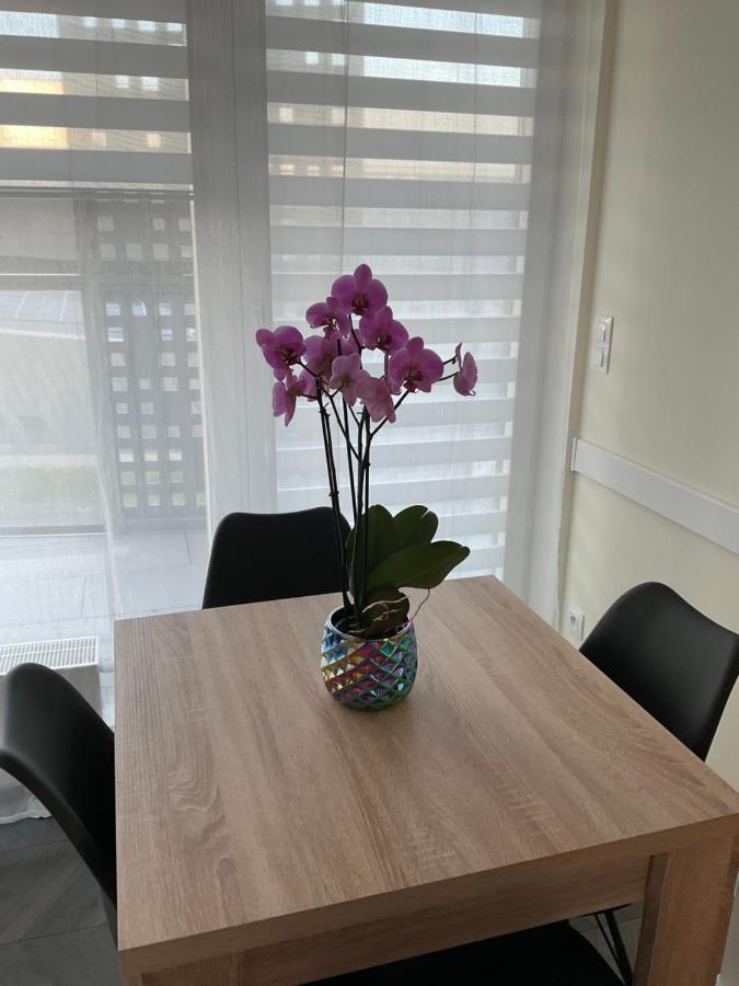 דירות קטוביץ Apartament „Dwie Wieze” מראה חיצוני תמונה